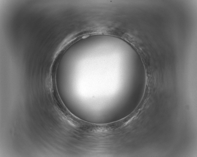 X0000066980198200603241245