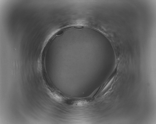 X0000066980200200603241245