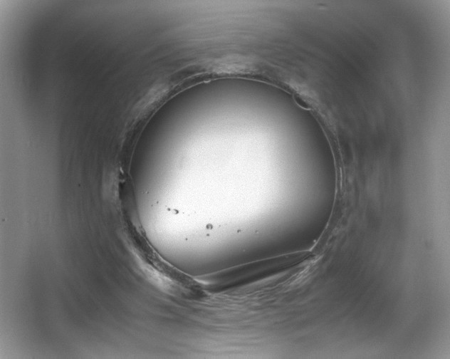 X0000066980201200603241245