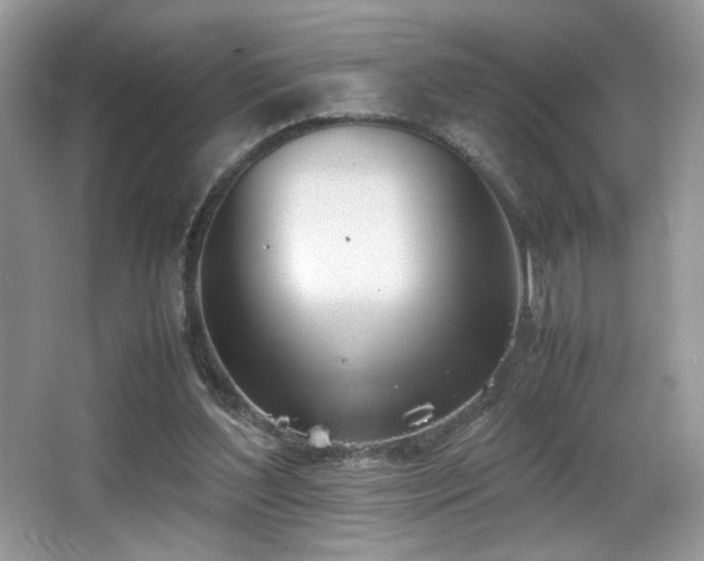 X0000066980204200603241245