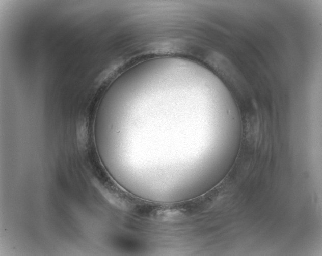 X0000066980208200603241245