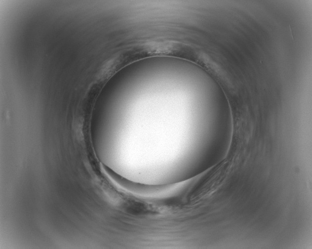 X0000066980209200603241245