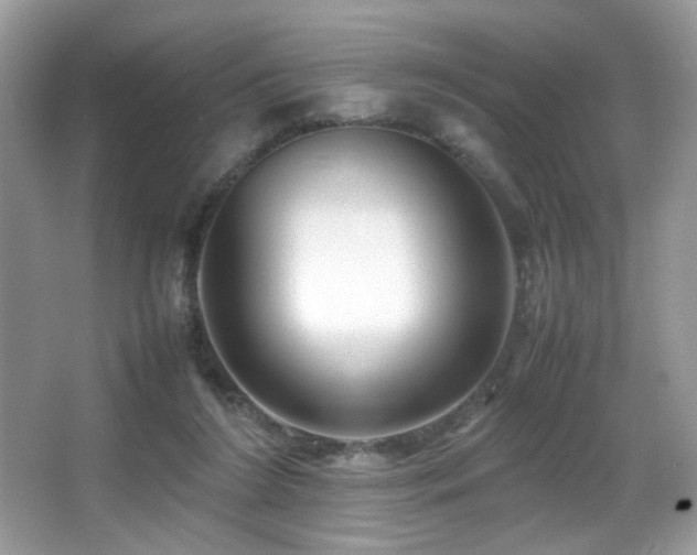 X0000066980212200603241245