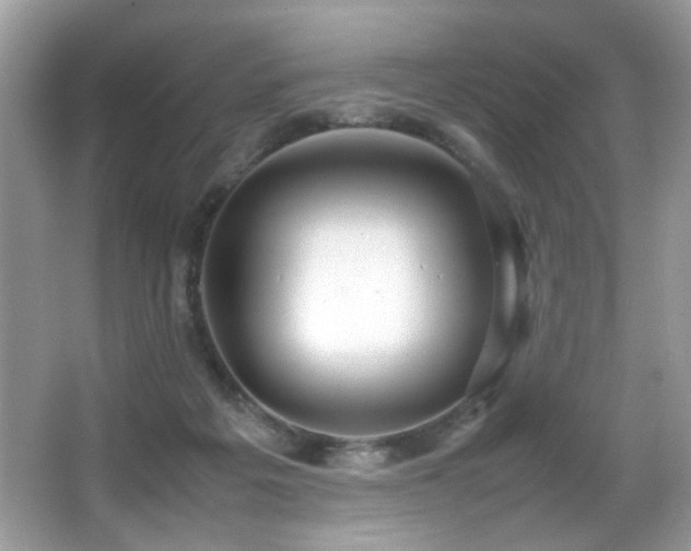 X0000066980217200603241245