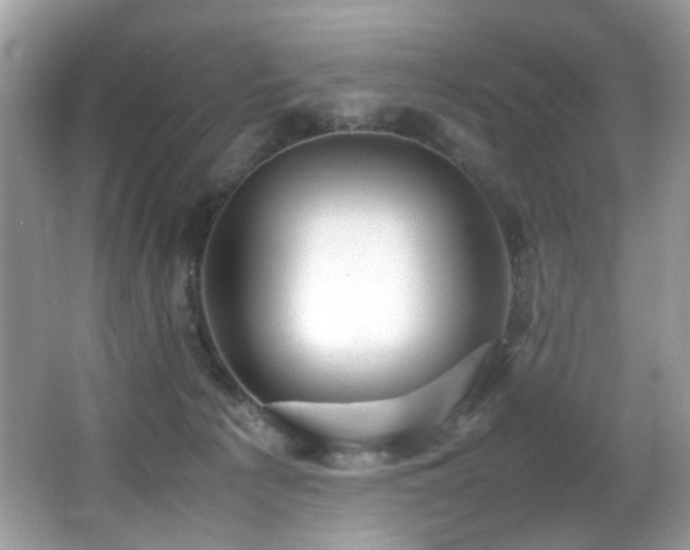 X0000066980225200603241245