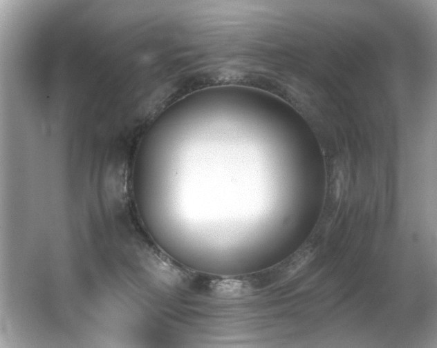 X0000066980230200603241245