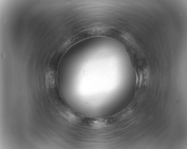 X0000066980232200603241245