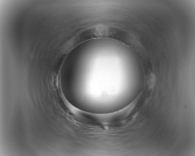 X0000066980233200603241245