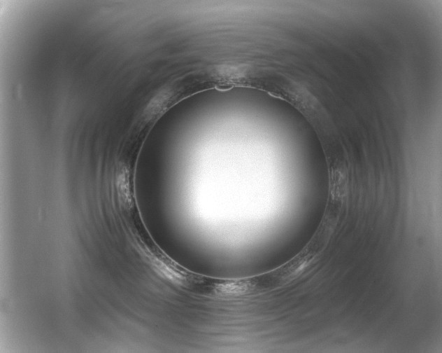 X0000066980238200603241245