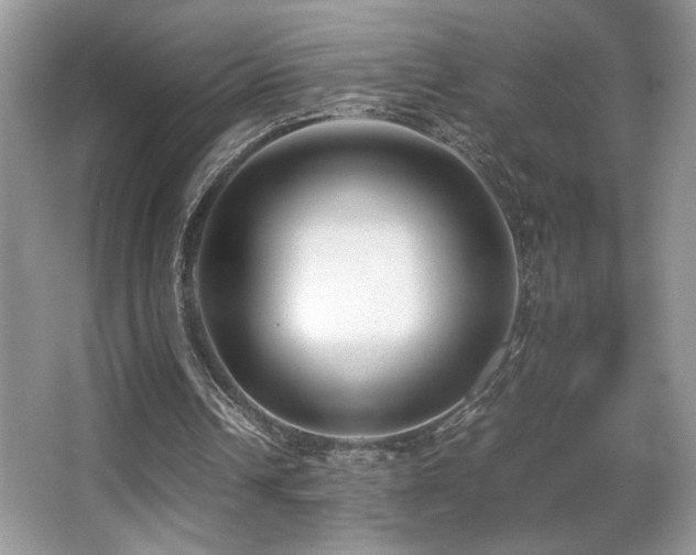 X0000066980242200603241244