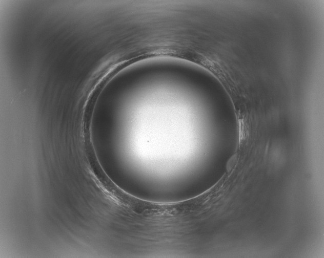 X0000066980243200603241244