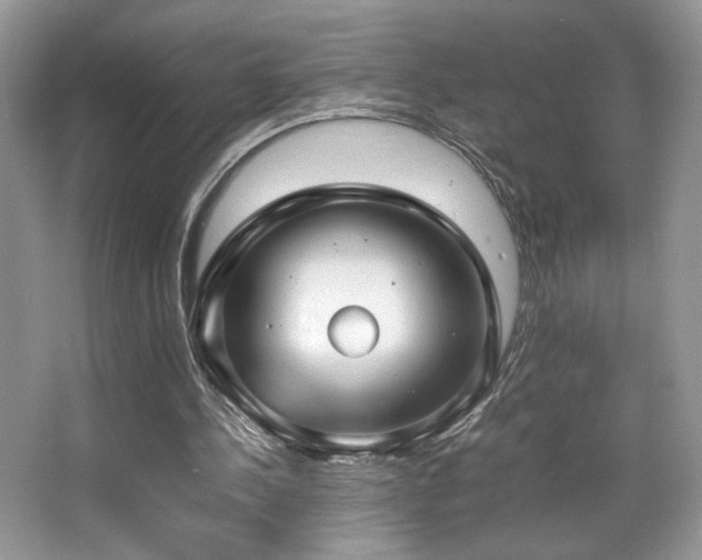 X0000066980244200603241244