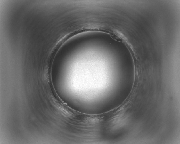 X0000066980249200603241244