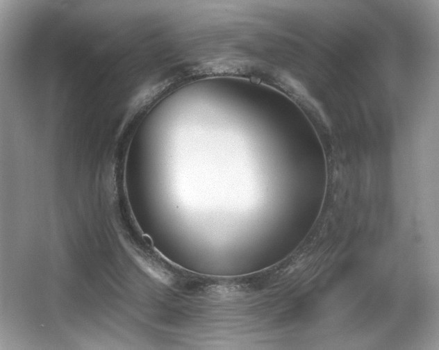 X0000066980250200603241244