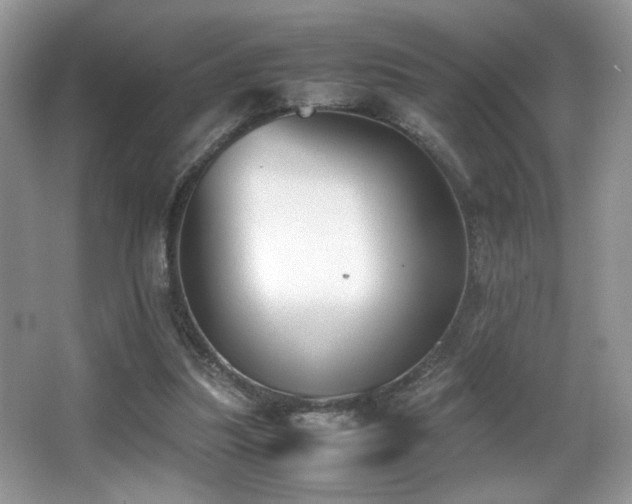 X0000066980251200603241244
