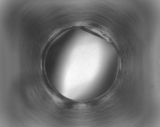 X0000066980253200603241244