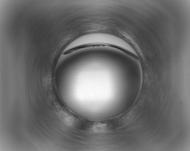 X0000066980257200603241244