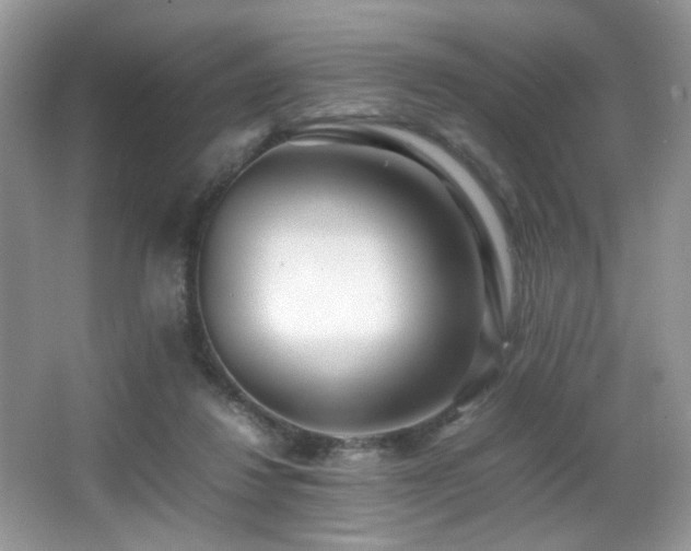 X0000066980260200603241244