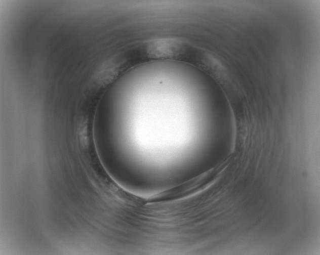 X0000066980267200603241244