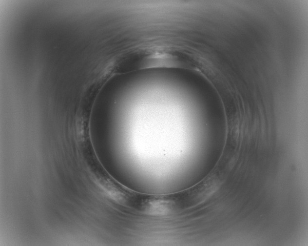 X0000066980268200603241244