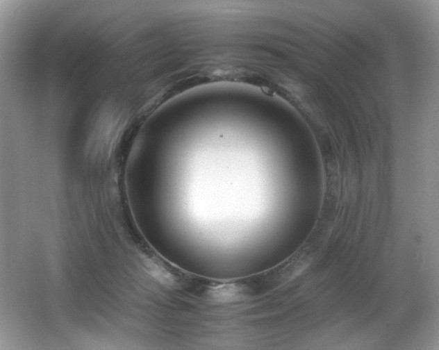 X0000066980269200603241244