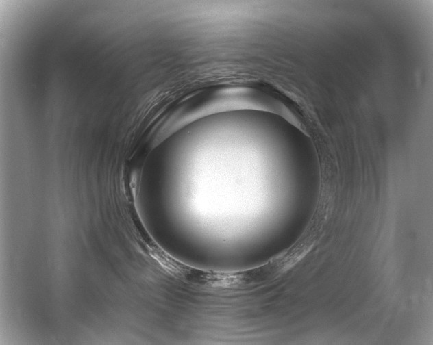 X0000066980288200603241245