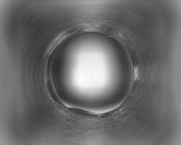 X0000066980291200603241244