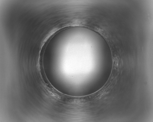 X0000066980292200603241244