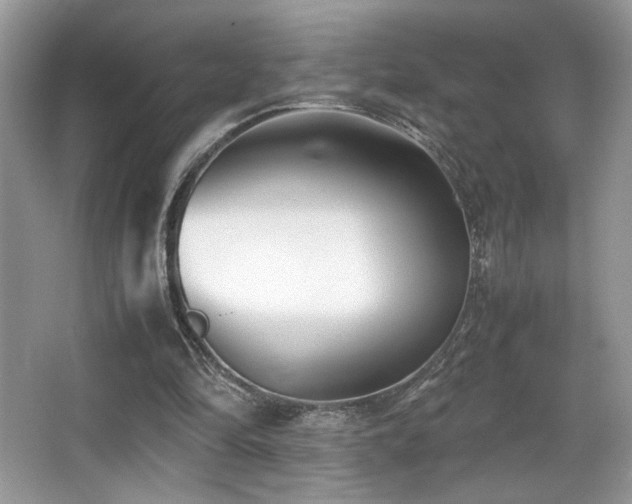 X0000066980294200603241244