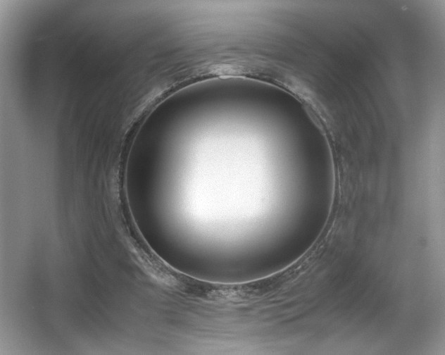 X0000066980297200603241244