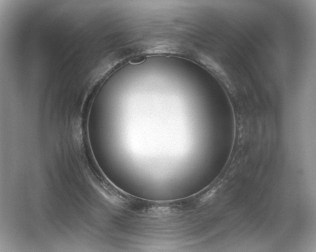 X0000066980298200603241244