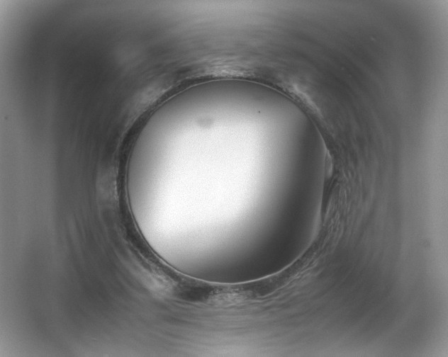 X0000066980299200603241244