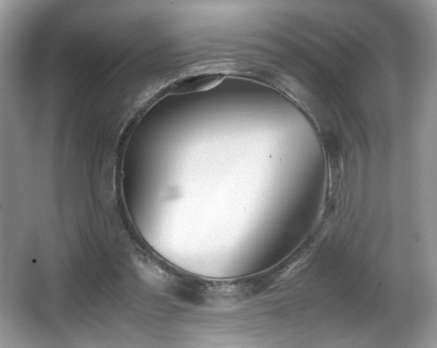 X0000066980301200603241244