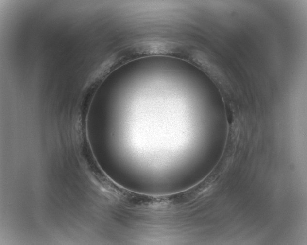 X0000066980306200603241244