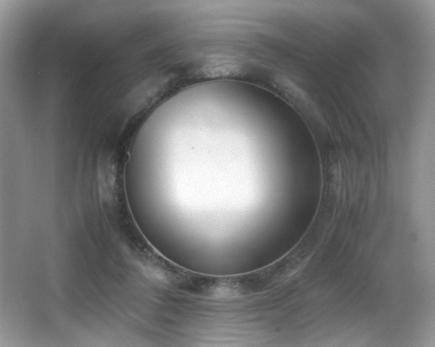 X0000066980308200603241244