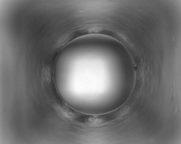 X0000066980311200603241243