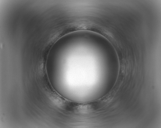 X0000066980314200603241243
