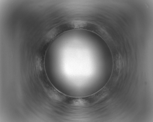 X0000066980316200603241243