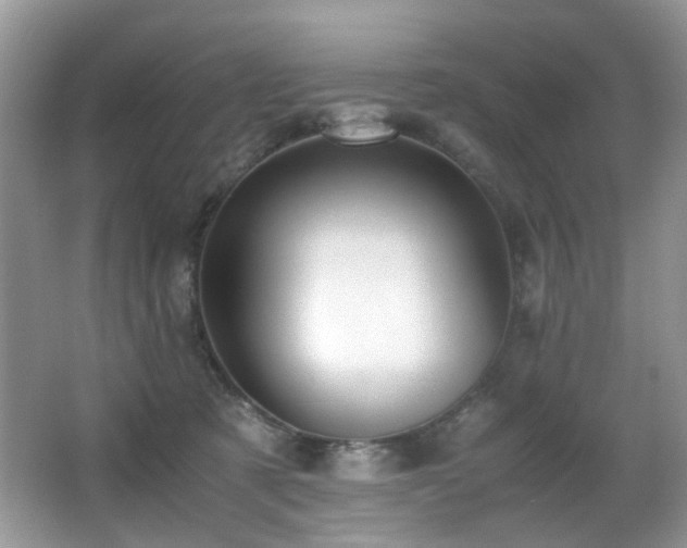 X0000066980321200603241243