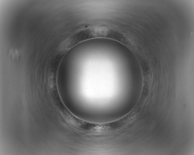X0000066980323200603241243