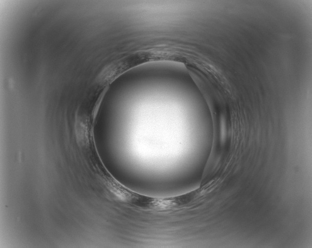 X0000066980333200603241243