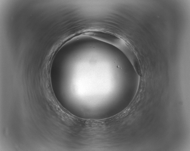 X0000066980337200603241242