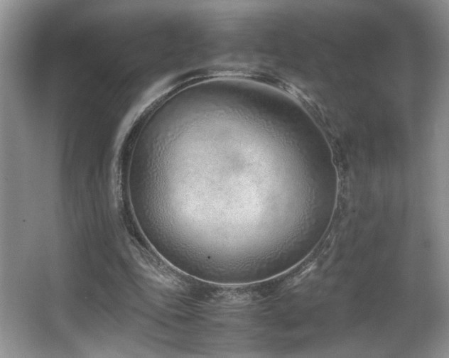 X0000066980343200603241242