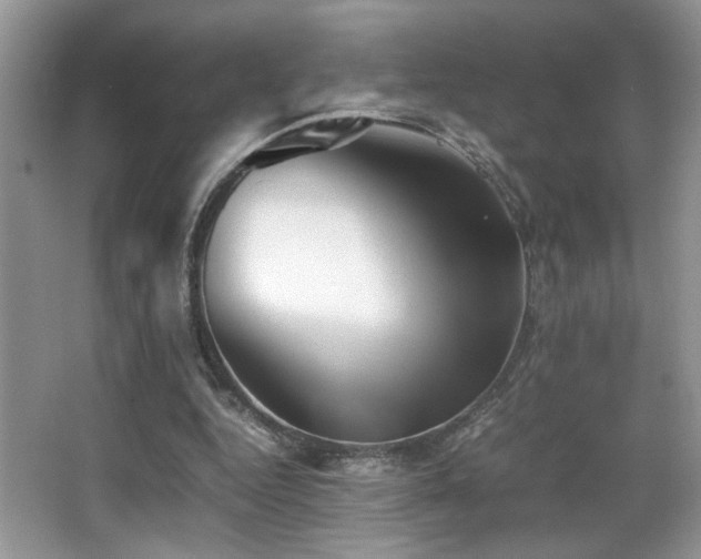 X0000066980344200603241242