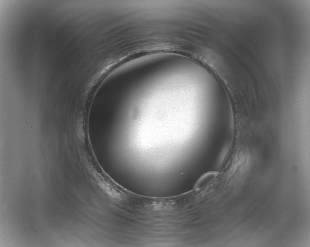 X0000066980345200603241242