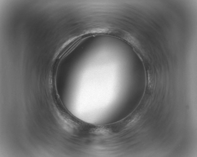 X0000066980348200603241242