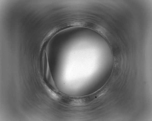 X0000066980349200603241242