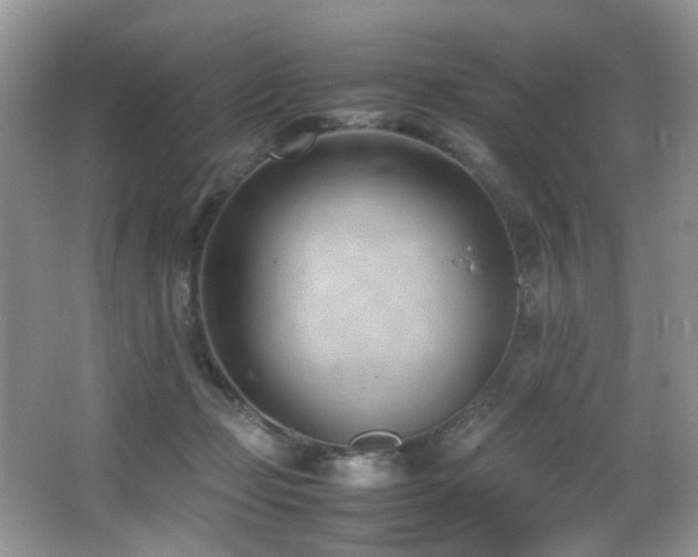 X0000066980365200603241243