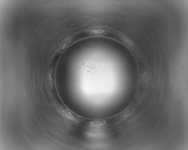 X0000066980373200603241243