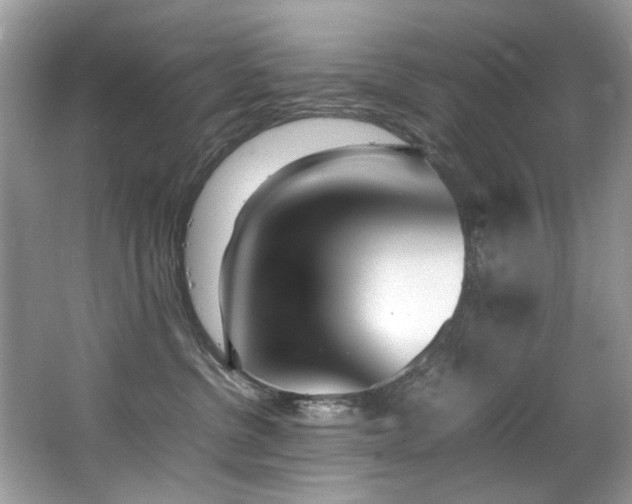 X0000066980380200603241243